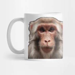 Serious monkey Mug